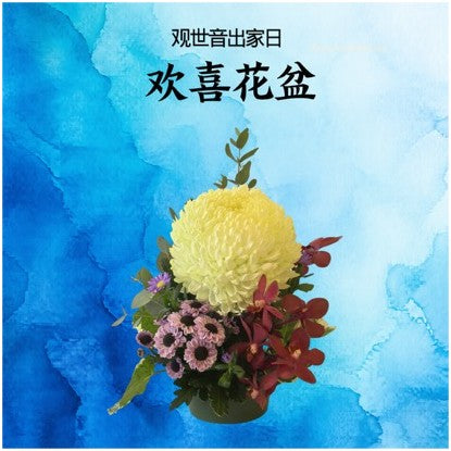 欢喜花盆