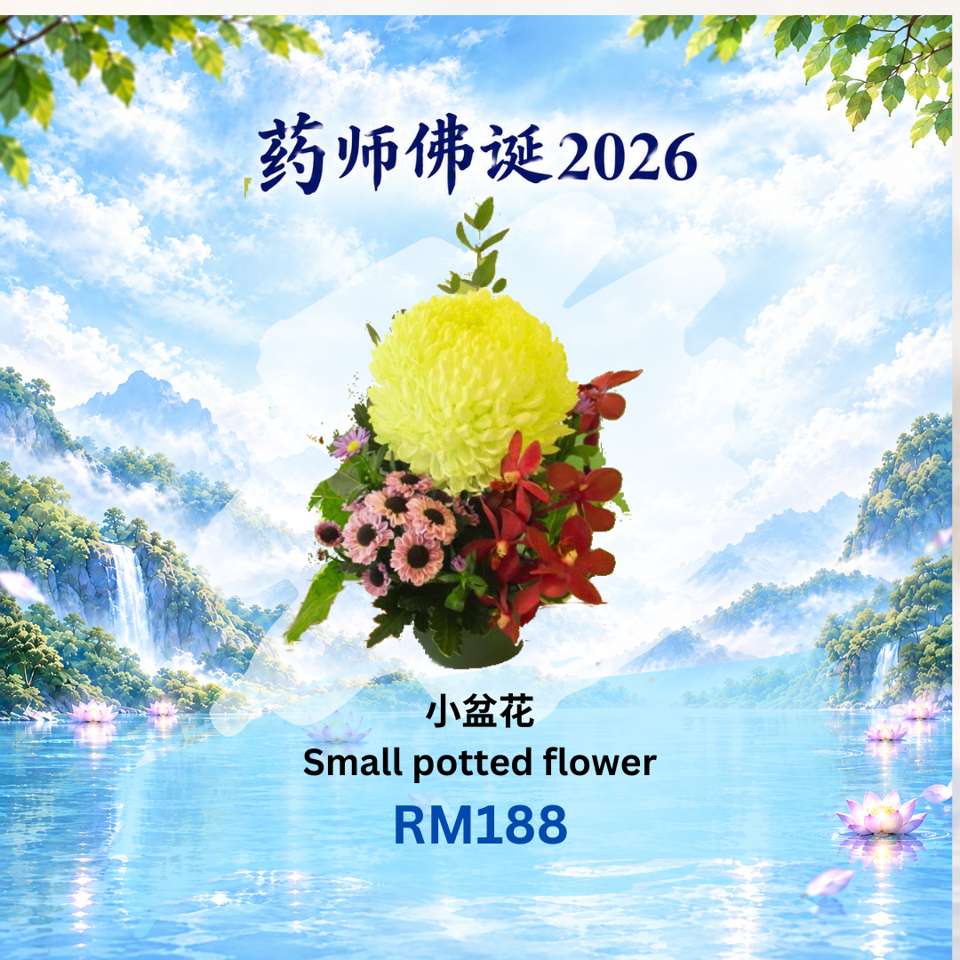 小盆花 Small Potted Flower Offering