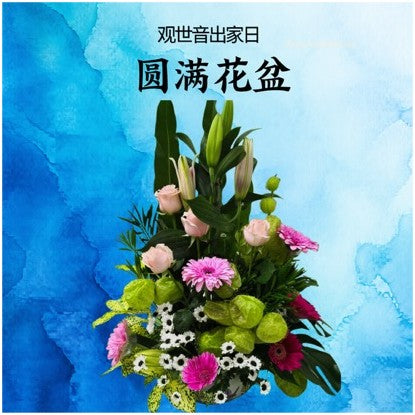 圆满花盆