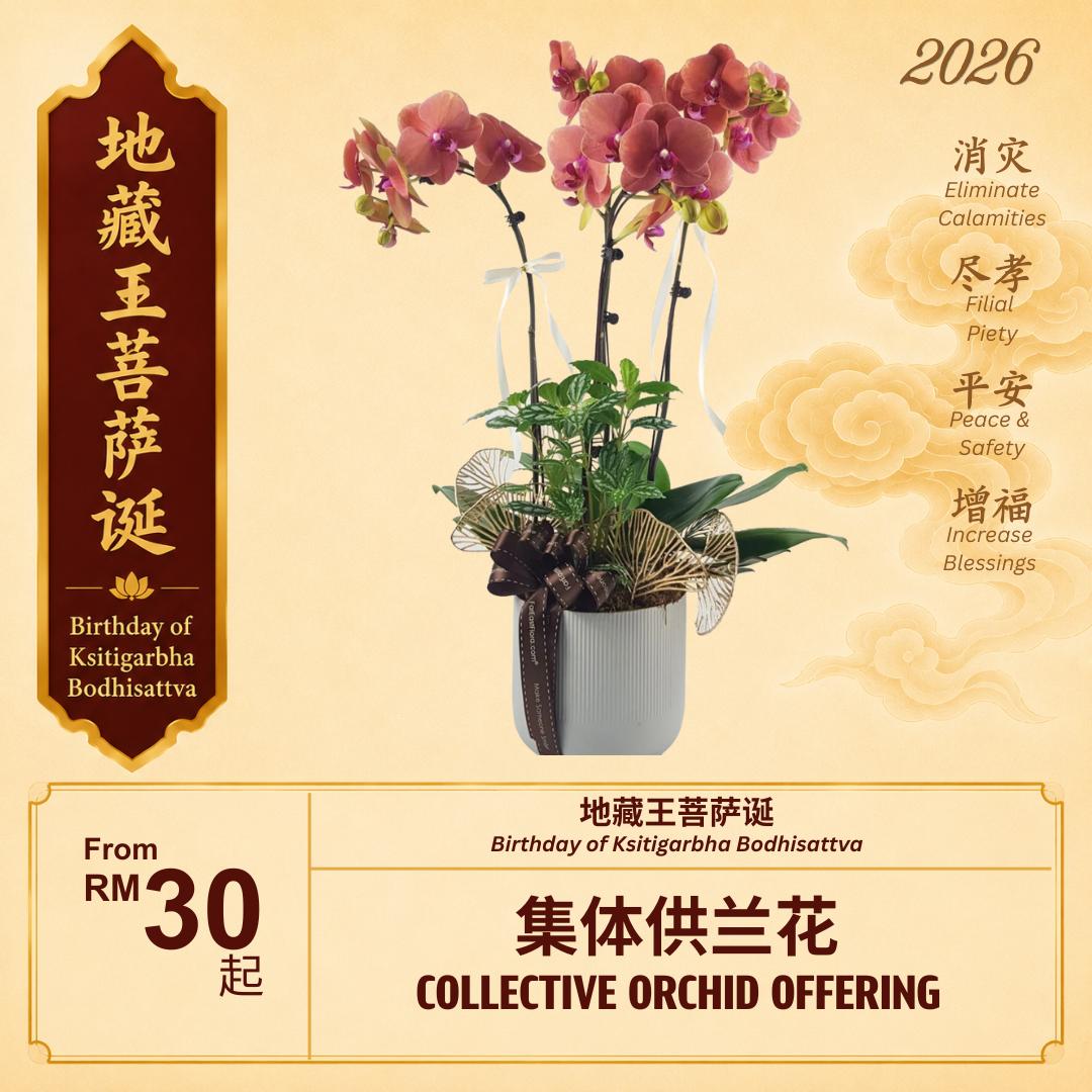 集体供兰花