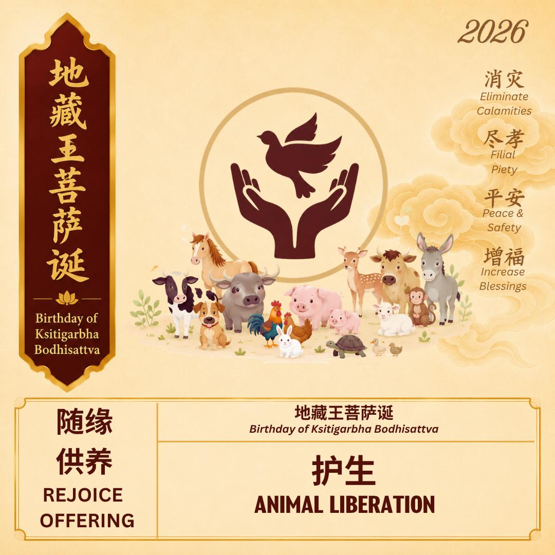 护生供养 :  随缘